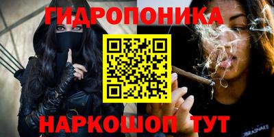 стафф Нальчик