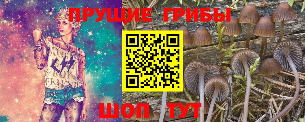 Псилоцибиновые грибы Cubensis  Галлюциногенные грибы ЛСД  Вход с VPN  цена наркотик  Удомля 